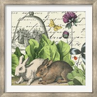 Garden Rabbit II Fine Art Print