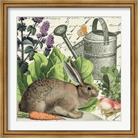 Garden Rabbit I Fine Art Print