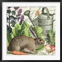 Garden Rabbit I Fine Art Print
