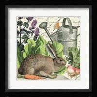 Garden Rabbit I Framed Print