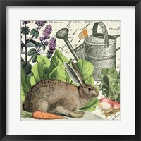 Garden Rabbit I Framed Print