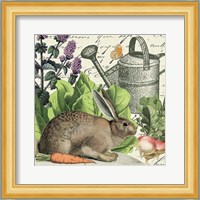 Garden Rabbit I Fine Art Print