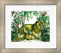 Jungle Flair VI Fine Art Print
