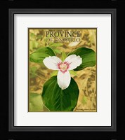 Province Ontario Framed Print
