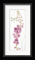 Rainbow Seeds Flowers VII Dragonfly Framed Print