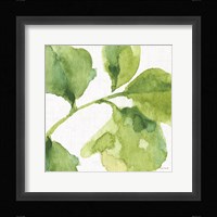Blue and Green Garden VII Framed Print