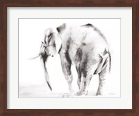 Lone Elephant Gray Crop Fine Art Print