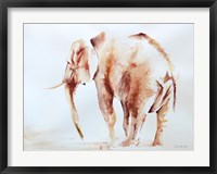Lone Elephant Fine Art Print