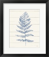 Fern Print II Blue Crop Framed Print