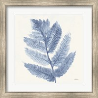 Forest Ferns I Blue Fine Art Print