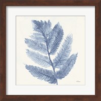 Forest Ferns I Blue Fine Art Print