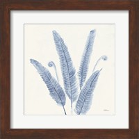 Forest Ferns II v2 Blue Fine Art Print