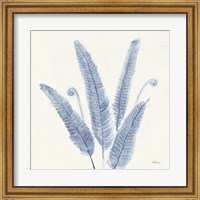 Forest Ferns II v2 Blue Fine Art Print