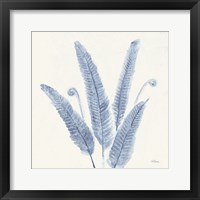 Forest Ferns II v2 Blue Framed Print