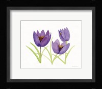 Easter Blessing Flowers VII Framed Print