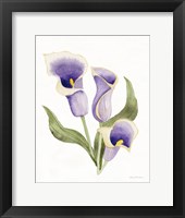 Easter Blessing Flower III Framed Print