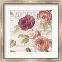 French Roses V Fine Art Print