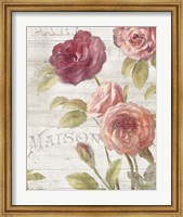 French Roses III Fine Art Print