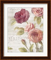 French Roses III Fine Art Print