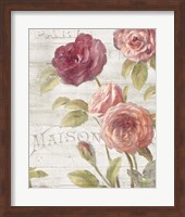 French Roses III Fine Art Print