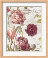 French Roses II Fine Art Print