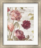 French Roses II Fine Art Print