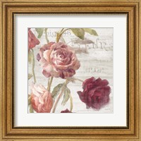 French Roses IV Fine Art Print