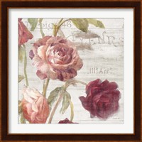 French Roses IV Fine Art Print