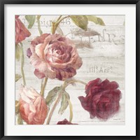 French Roses IV Fine Art Print