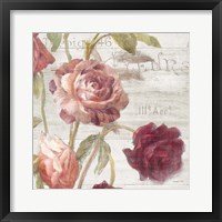 French Roses IV Framed Print