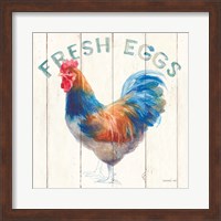 Fresh Eggs Hen Fine Art Print