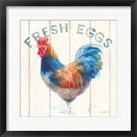 Fresh Eggs Hen Framed Print
