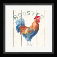 Rooster Framed Print