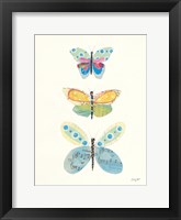 Butterfly Charts IV Framed Print