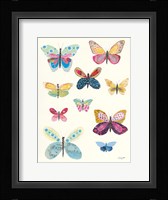 Butterfly Charts I Framed Print