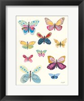 Butterfly Charts I Framed Print