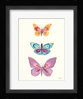 Butterfly Charts III Framed Print