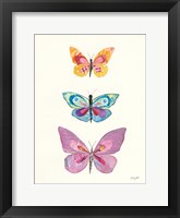 Butterfly Charts III Framed Print