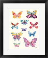 Butterfly Charts II Framed Print