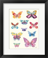 Butterfly Charts II Framed Print