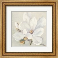 Serene Magnolia Fine Art Print