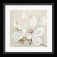 Serene Magnolia Fine Art Print