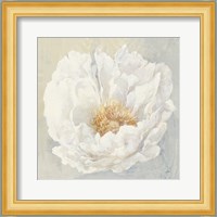 Serene Peony Fine Art Print