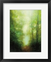Into the Clearing Fine Art Print
