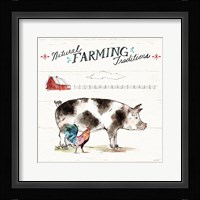 Down on the Farm III Framed Print