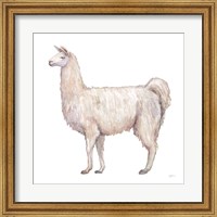Bohemian Cactus Llama Fine Art Print