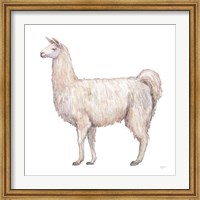 Bohemian Cactus Llama Fine Art Print