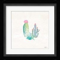 Bohemian Cactus V Framed Print