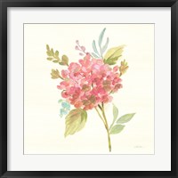 Petals and Blossoms VII Fine Art Print