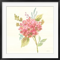 Petals and Blossoms VII Fine Art Print
